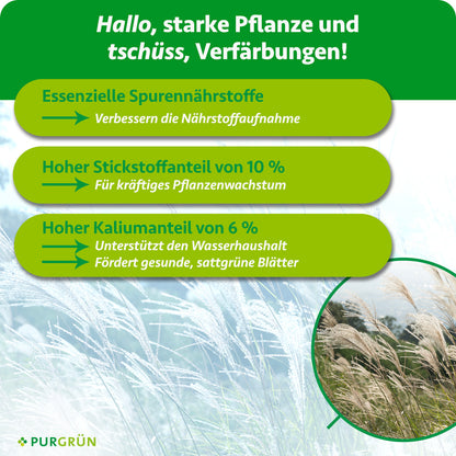 Purgrün Chinaschilf-Dünger 1 Liter