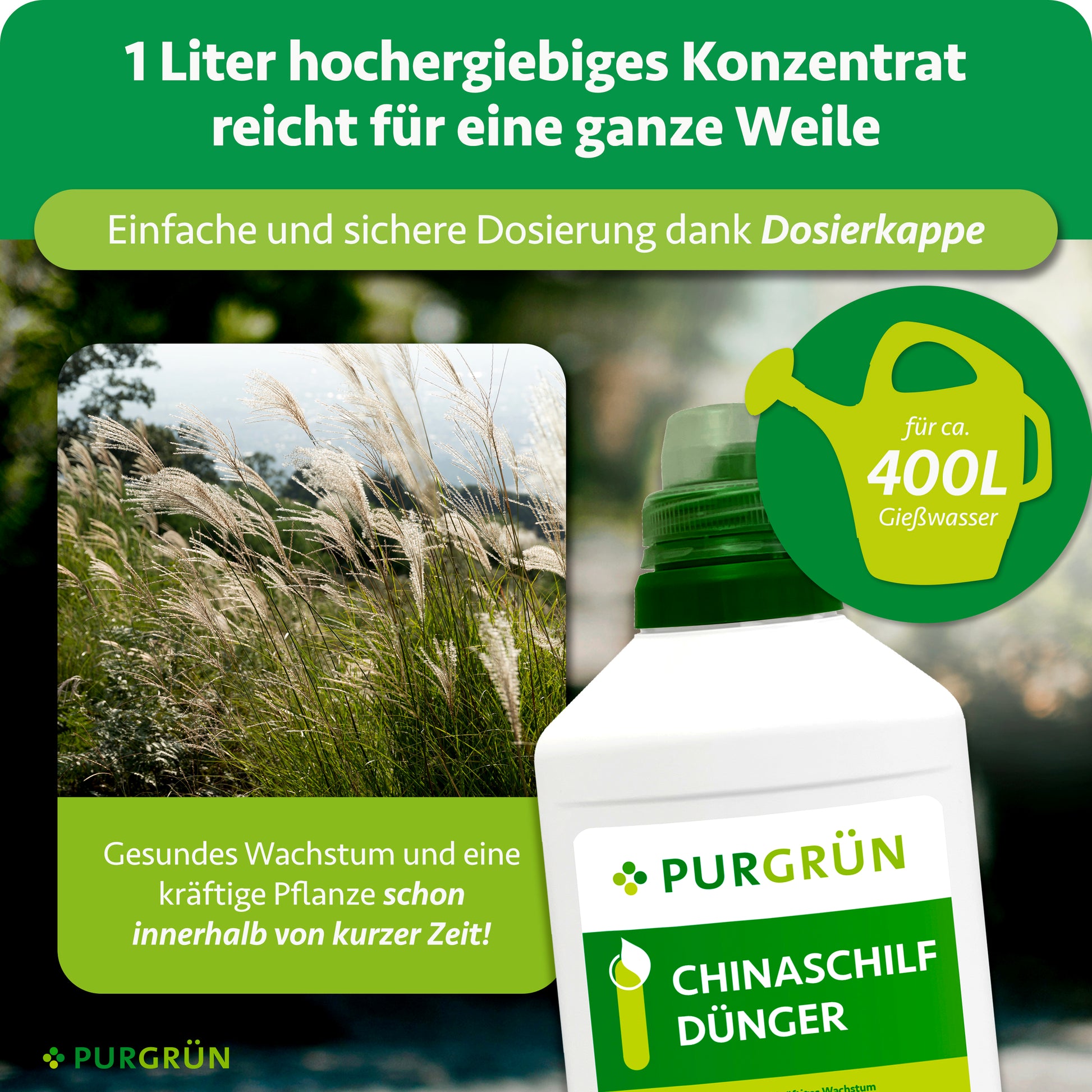 Purgrün Chinaschilf-Dünger 1 Liter