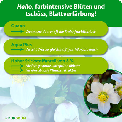 Christrose-Dünger 1 Liter