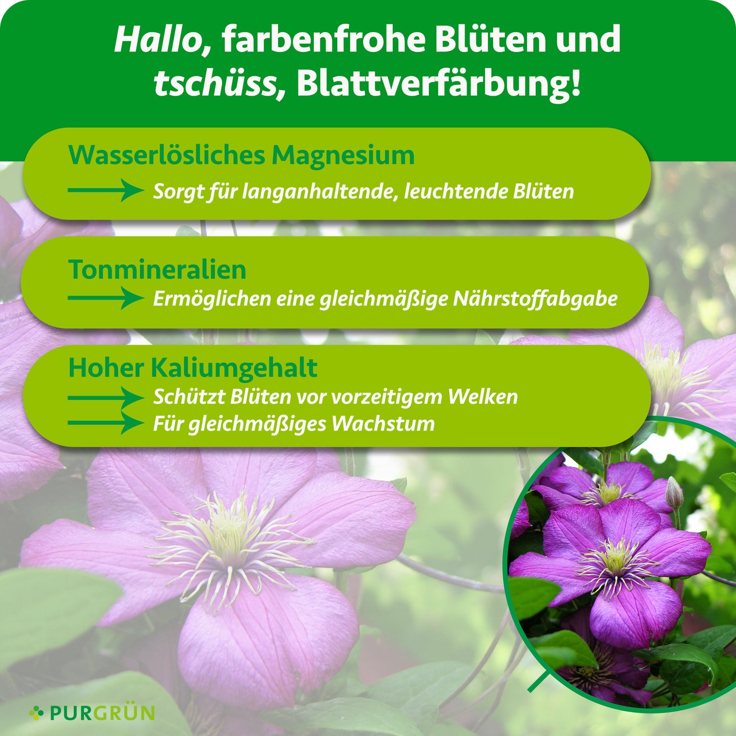 Clematis-Dünger 1 kg