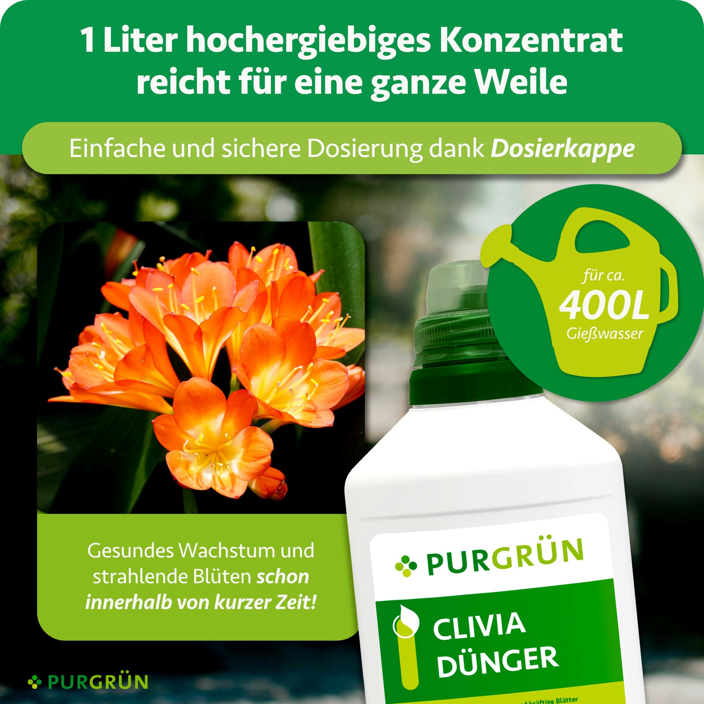 Clivia-Dünger 1 Liter