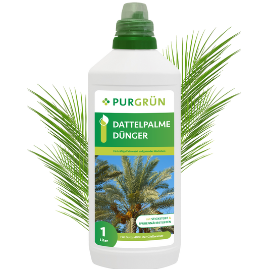 Dattelpalme-Dünger 1 Liter