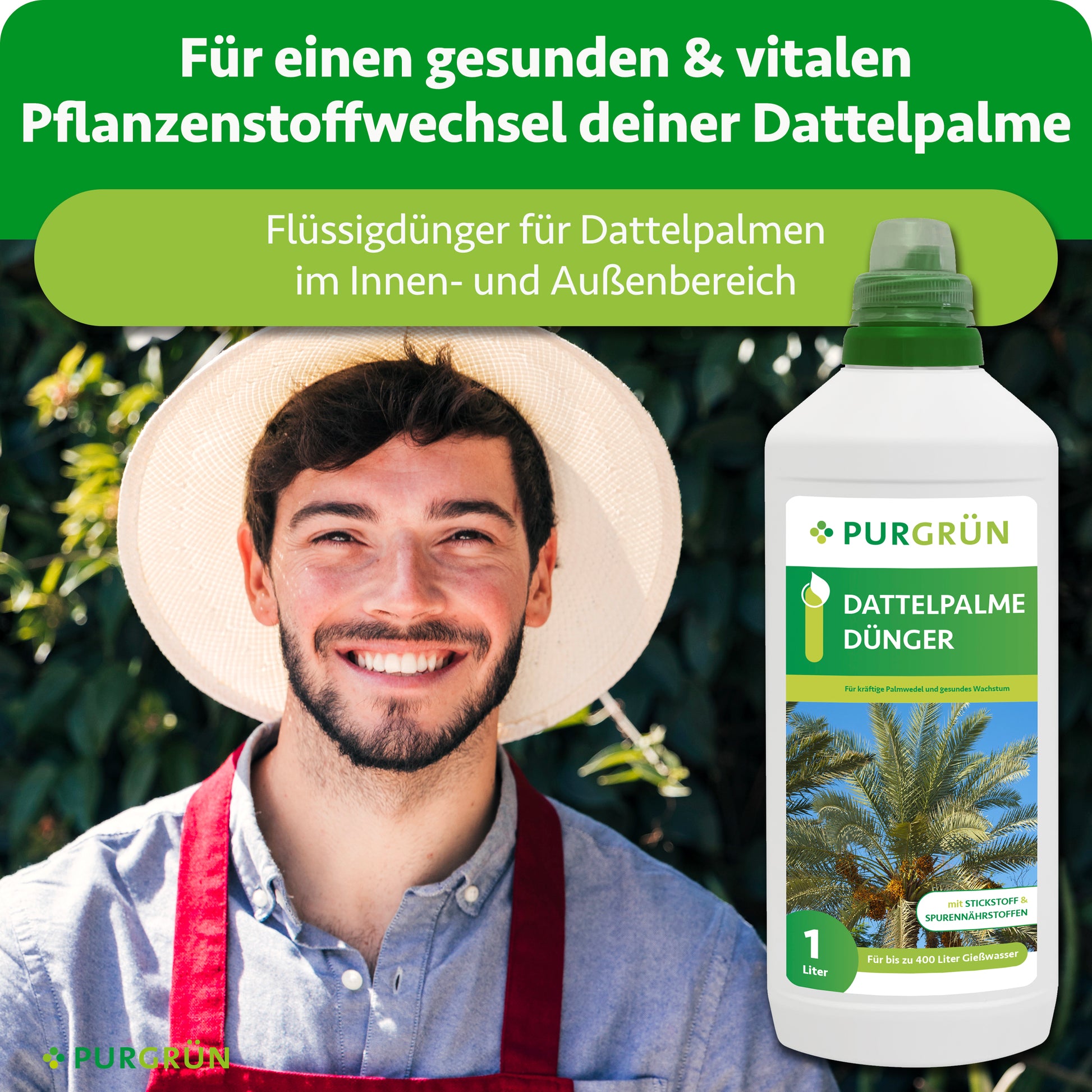 kanarische dattelpalme düngen Purgrün Dattelpalme-Dünger 1 Liter