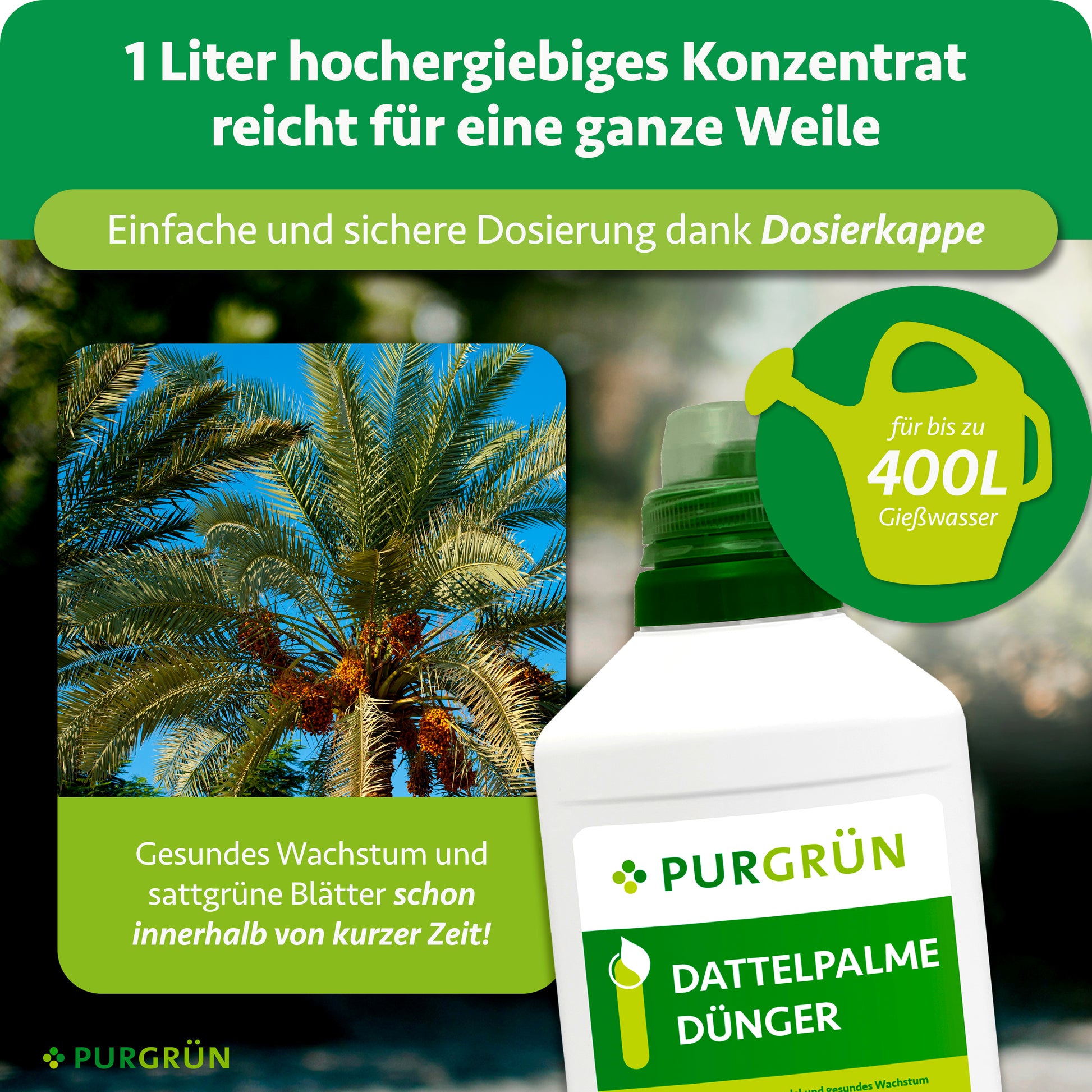 Purgrün Dattelpalme-Dünger 1 Liter