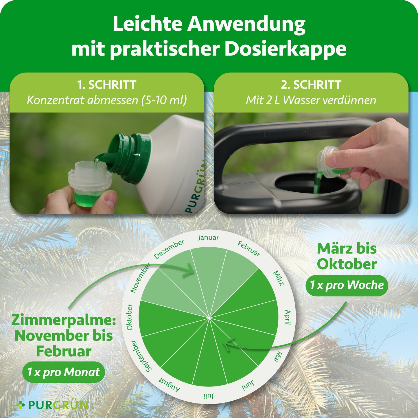 Dattelpalme-Dünger 1 Liter