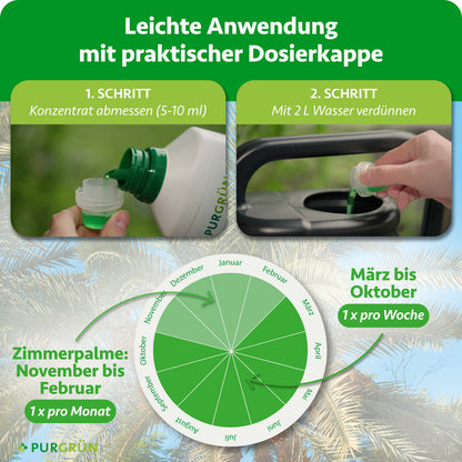 Dattelpalme-Dünger 1 Liter