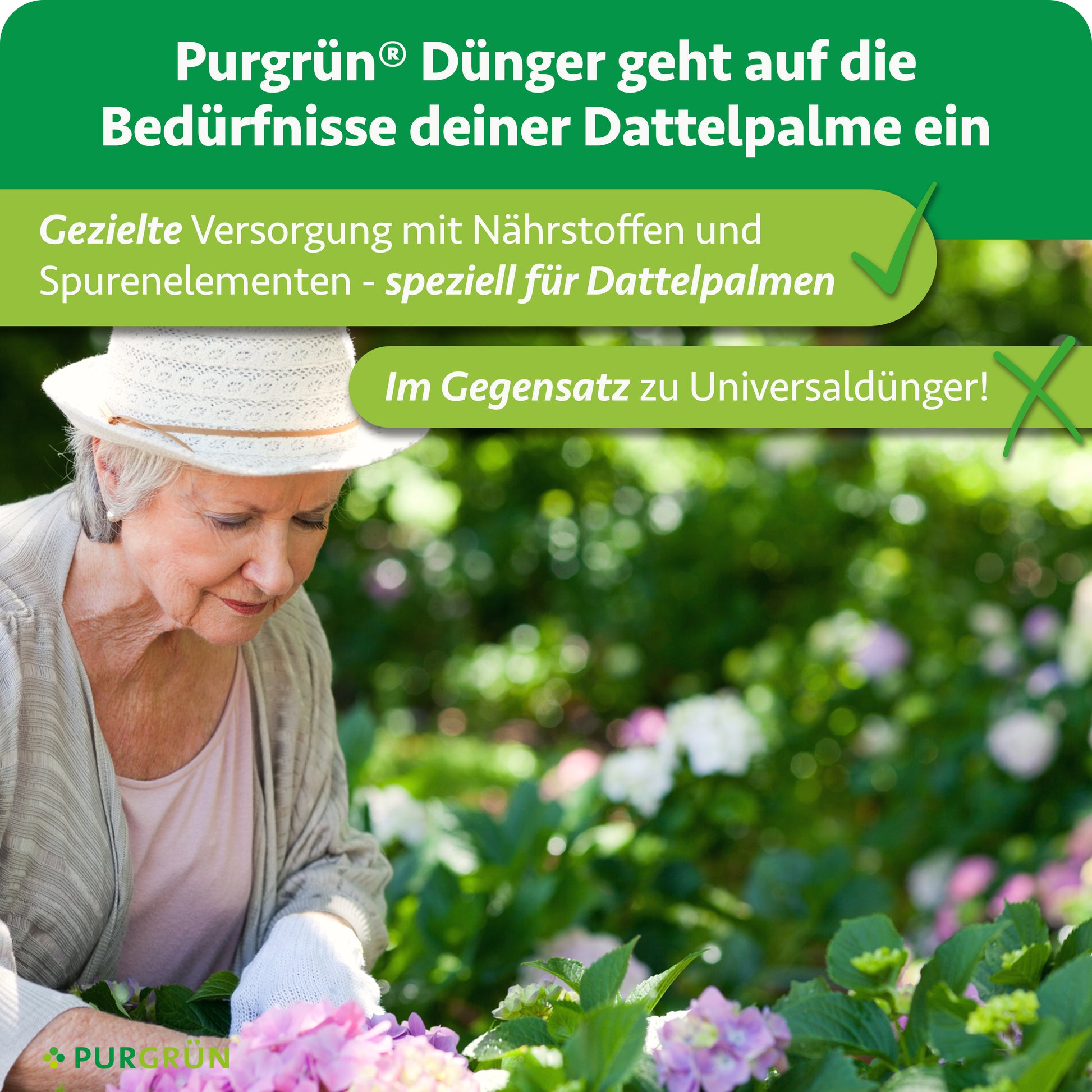 Purgrün Dattelpalme-Dünger 1 Liter