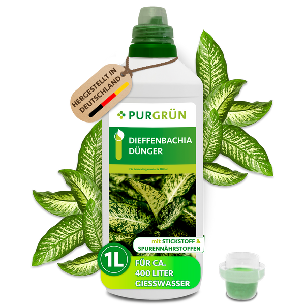 dieffenbachia besprühen Purgrün Dieffenbachia-Dünger 1 Liter