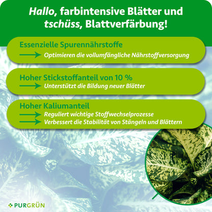 Dieffenbachia-Dünger 1 Liter
