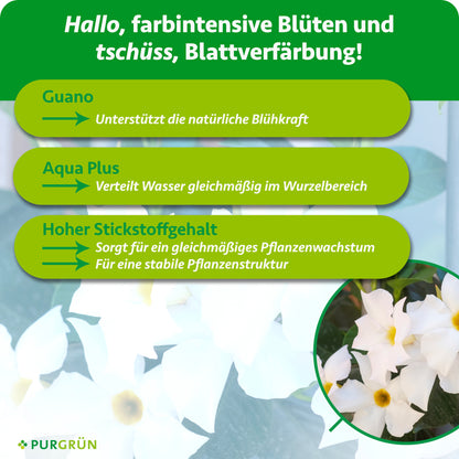 Dipladenia-Dünger 1 Liter