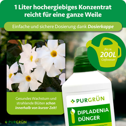 Dipladenia-Dünger 1 Liter