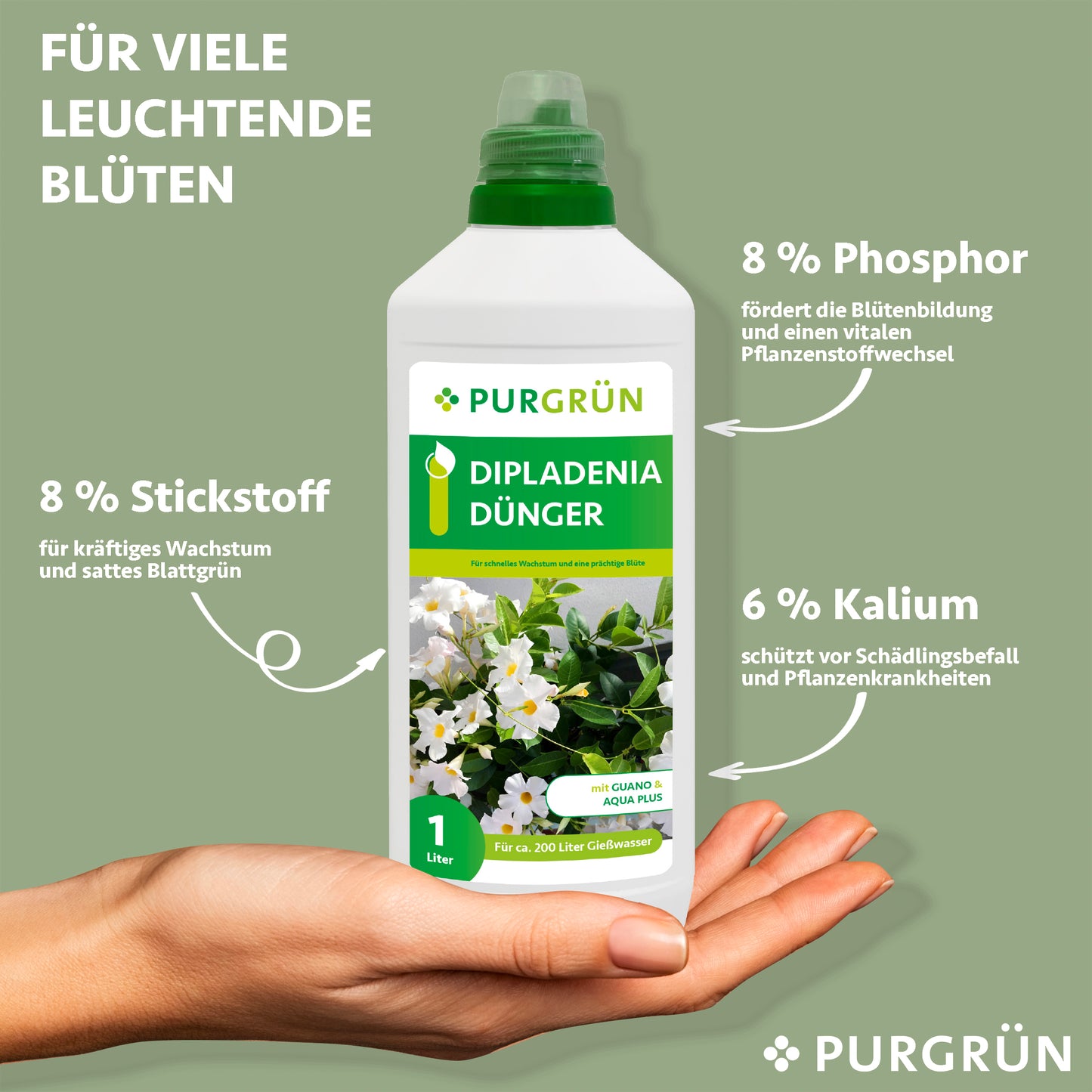 Dipladenia-Dünger 1 Liter
