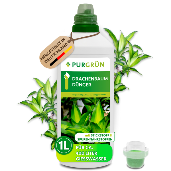 Purgrün Drachenbaumdünger 1 Liter