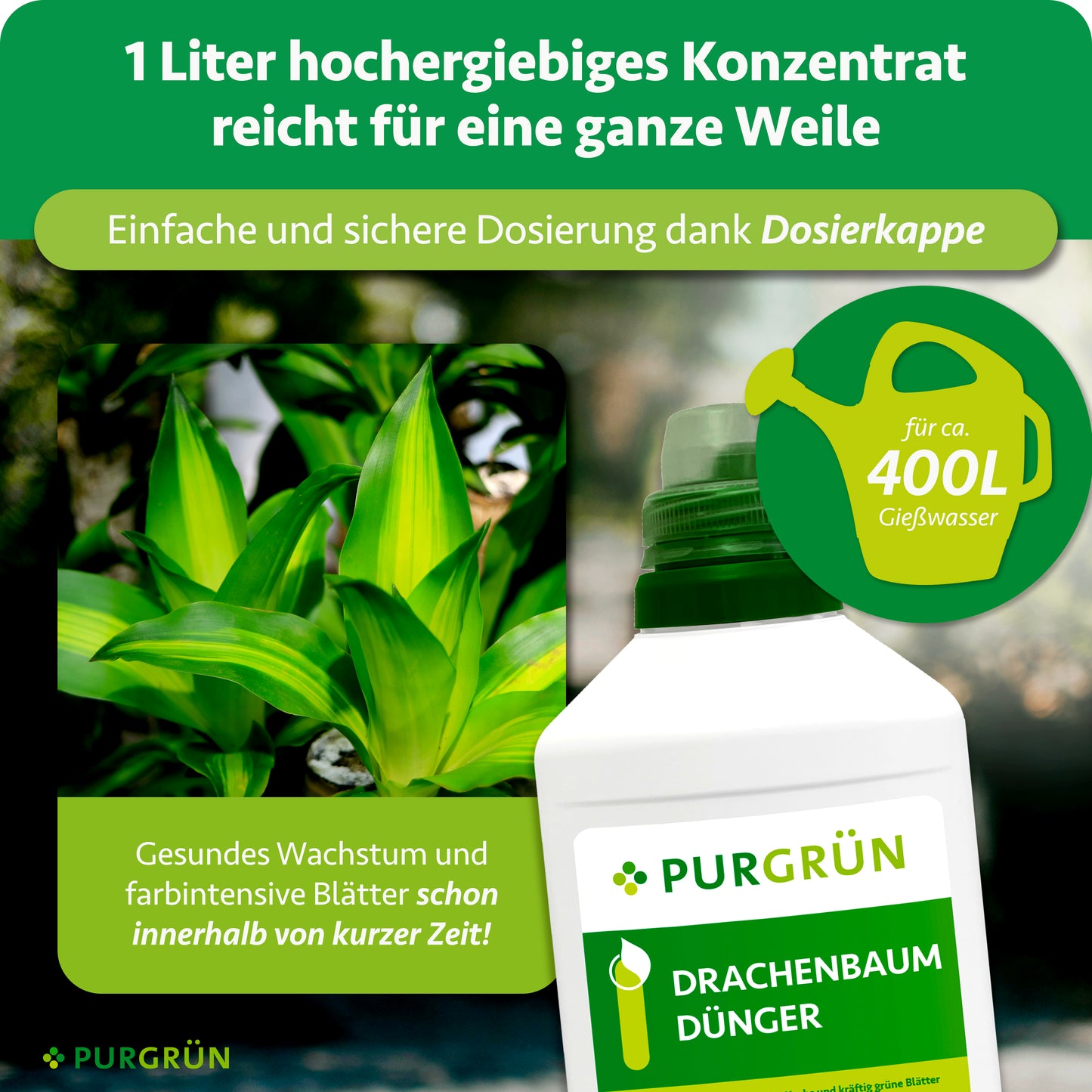 Drachenbaum-Dünger 1 Liter
