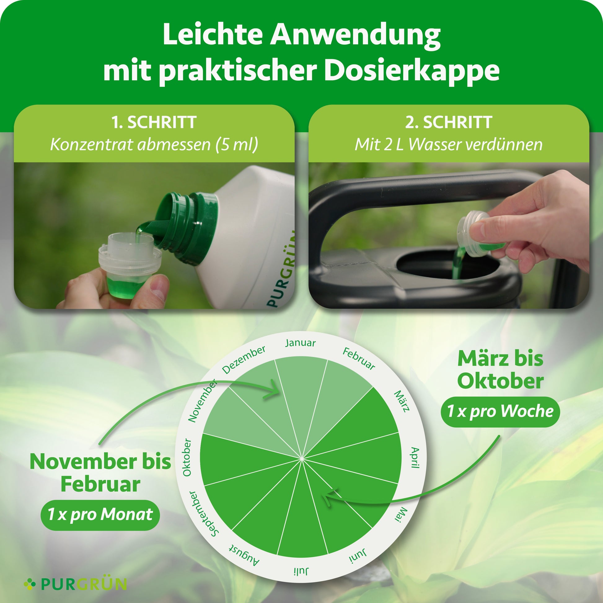 Purgrün Drachenbaumdünger 1 Liter