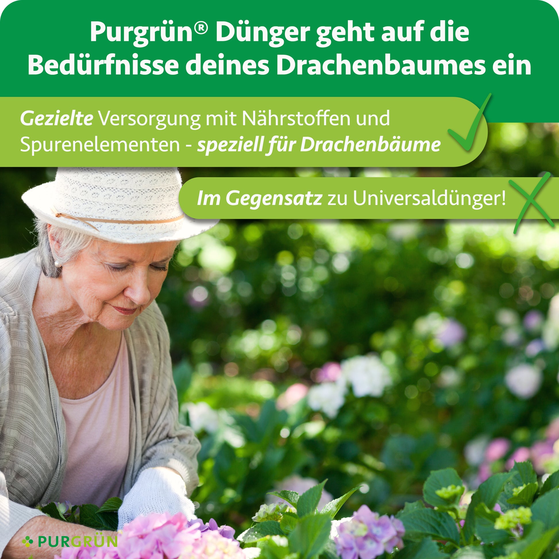 Purgrün Drachenbaumdünger 1 Liter