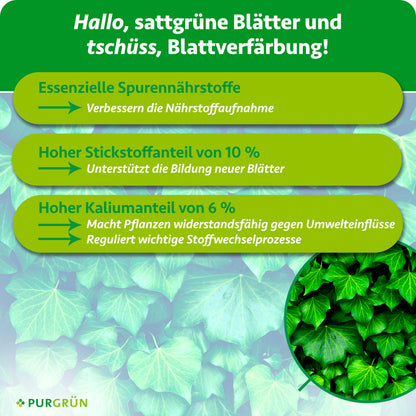 Efeu-Dünger 1 Liter