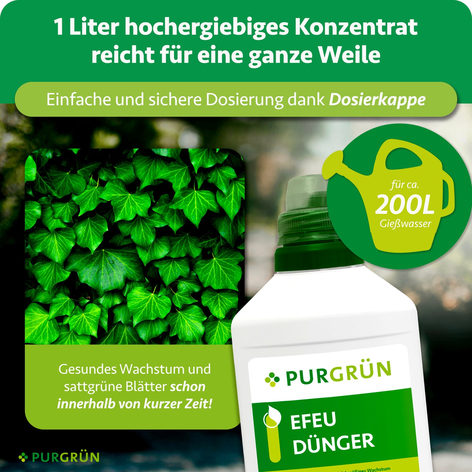 Purgrün Efeu-Dünger 1 Liter
