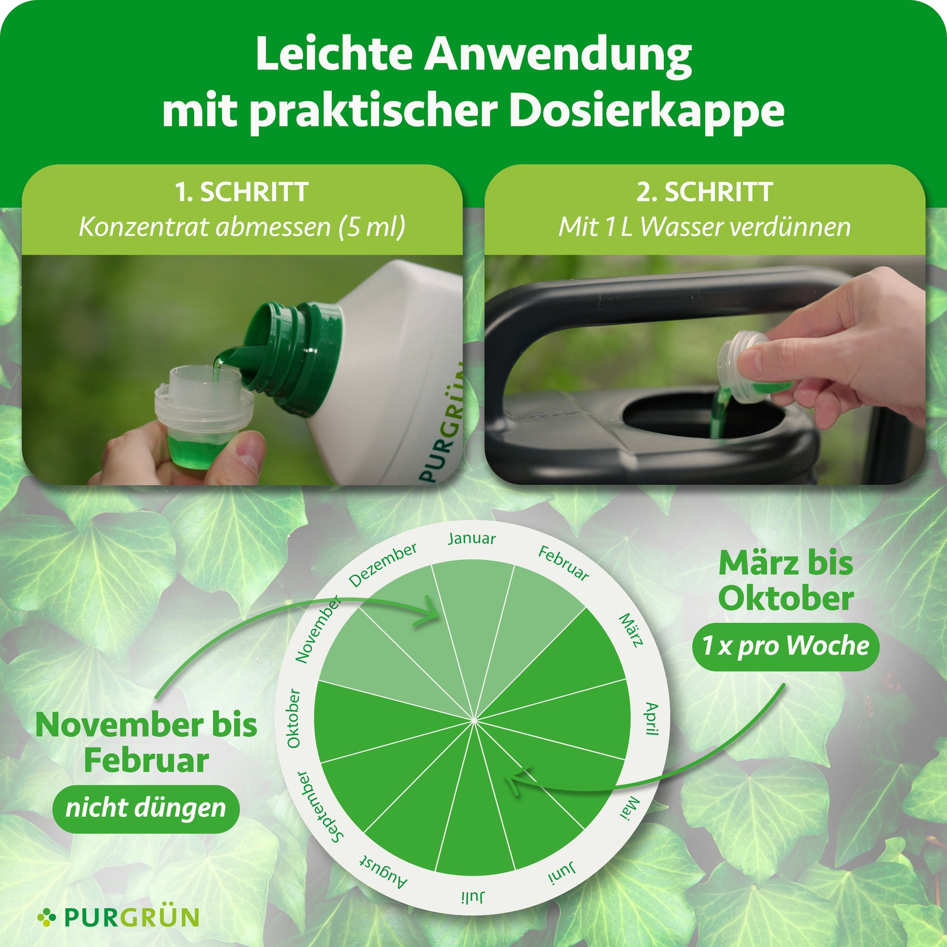 Purgrün Efeu-Dünger 1 Liter