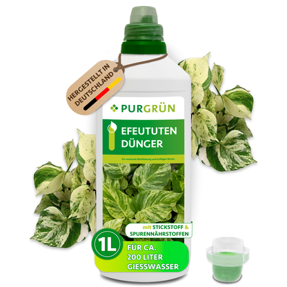 Efeututen-Dünger 1 Liter