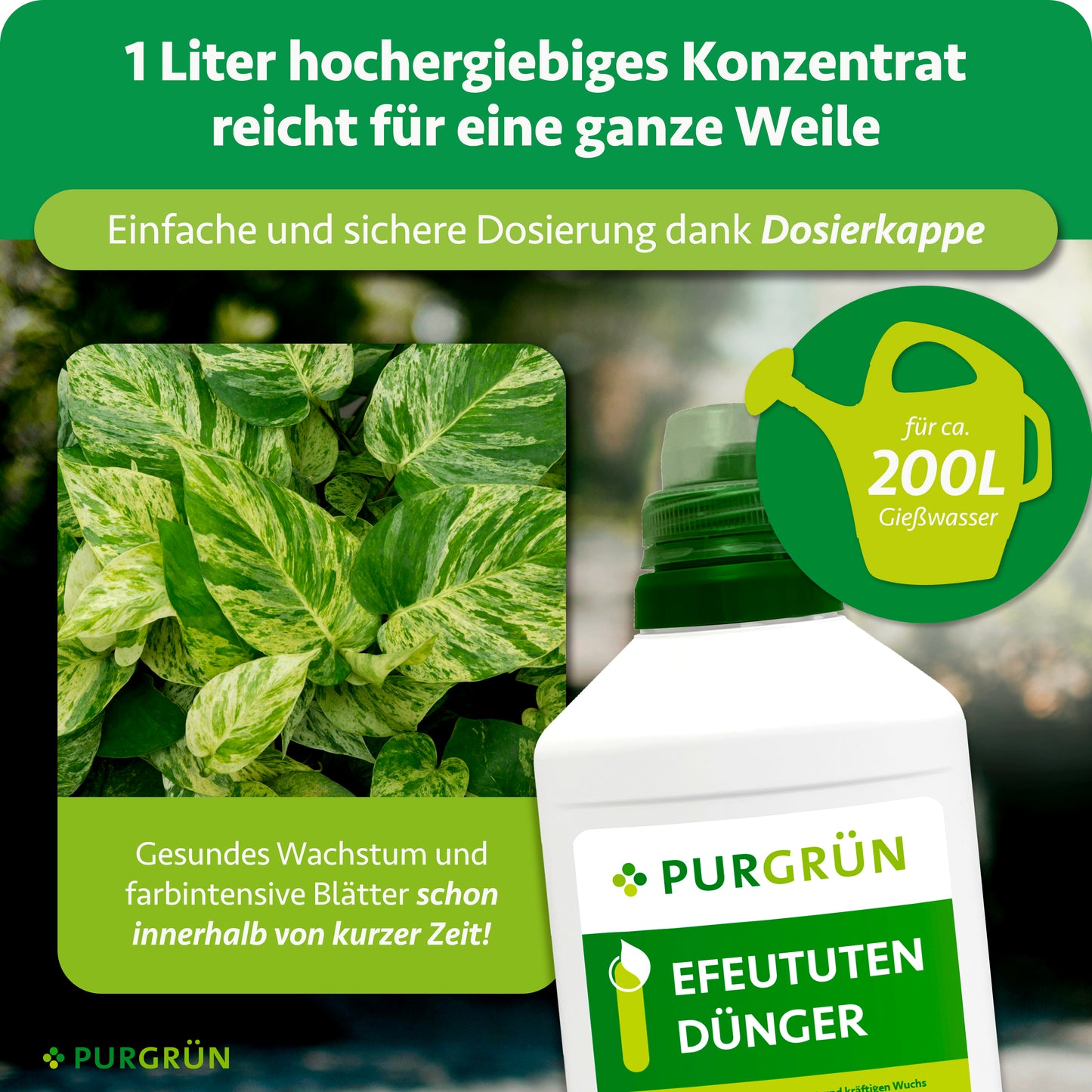 Efeututen-Dünger 1 Liter