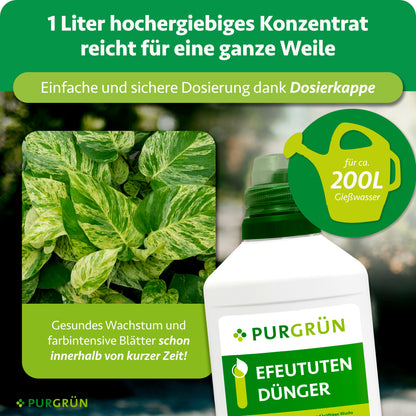 Efeututen-Dünger 1 Liter