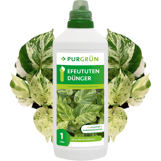 Efeututen-Dünger 1 Liter