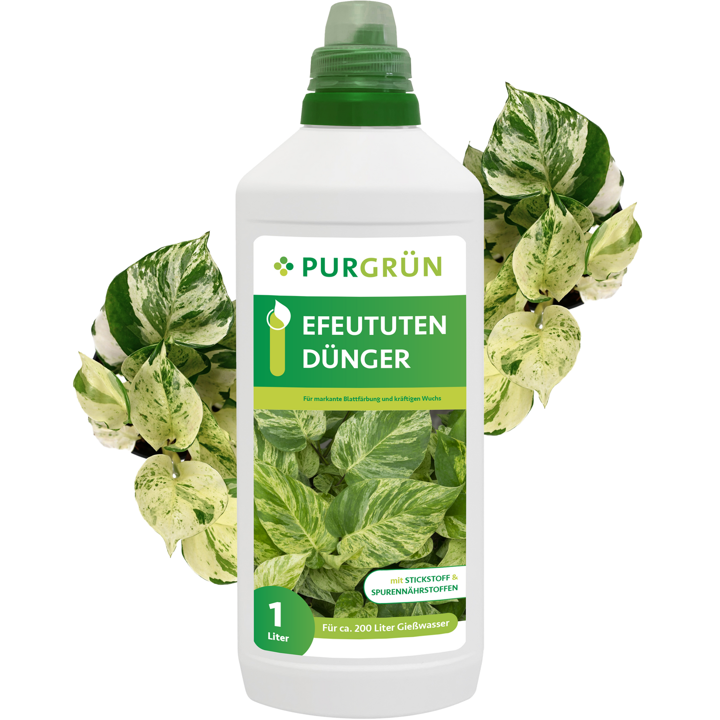 Eine weiße 1-Liter-Flasche Purgrün Efeututen-Dünger mit grünem Etikett zeigt im Vorder- und Hintergrund bunte Pothos-Blätter, die für eine optimale Nährstoffversorgung Ihrer Efeututen-Pflanzen sorgen.