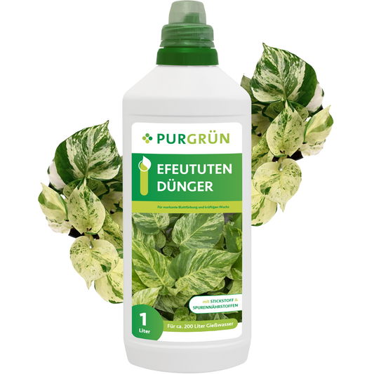 Eine weiße 1-Liter-Flasche Purgrün Efeututen-Dünger mit grünem Etikett zeigt im Vorder- und Hintergrund bunte Pothos-Blätter, die für eine optimale Nährstoffversorgung Ihrer Efeututen-Pflanzen sorgen.
