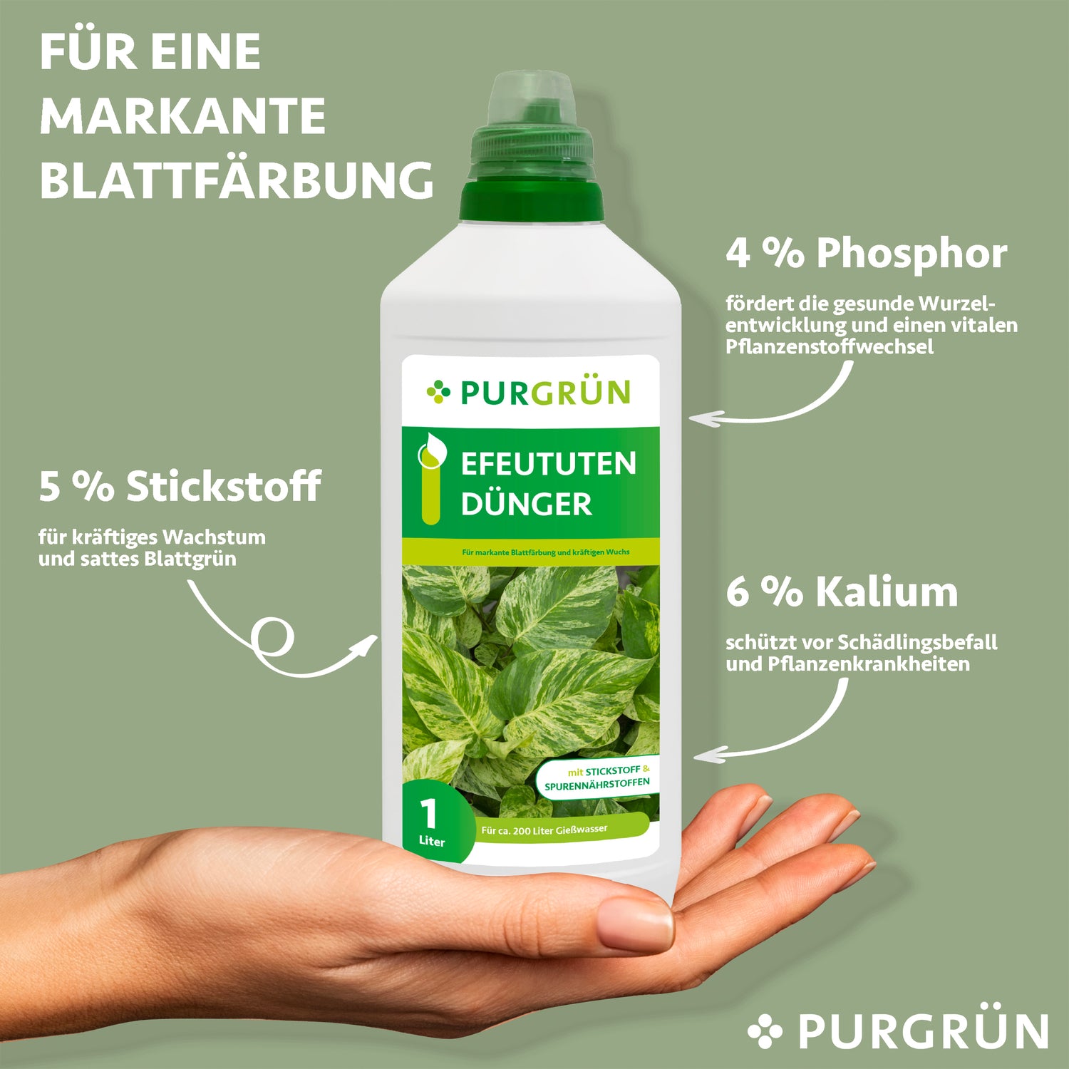 Eine Hand hält eine Flasche Purgrün Efeututen-Dünger 1 Liter, der 5 % Stickstoff für das Wachstum, 4 % Phosphor für die Wurzeln und 6 % Kalium für die Pflanzengesundheit enthält. Auf dem Etikett sind grüne Blätter zu sehen, die auf den idealen Nährstoffmix für Grünpflanzen hinweisen.