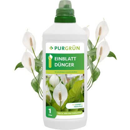 Eine 1-Liter-Flasche Purgrün Einblatt-Dünger zeigt auf dem Etikett weiße Friedenslilienblüten und grüne Blätter, im Hintergrund sind weitere Friedenslilien abgebildet.