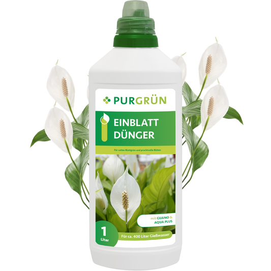 Eine 1-Liter-Flasche Purgrün Einblatt-Dünger zeigt auf dem Etikett weiße Friedenslilienblüten und grüne Blätter, im Hintergrund sind weitere Friedenslilien abgebildet.