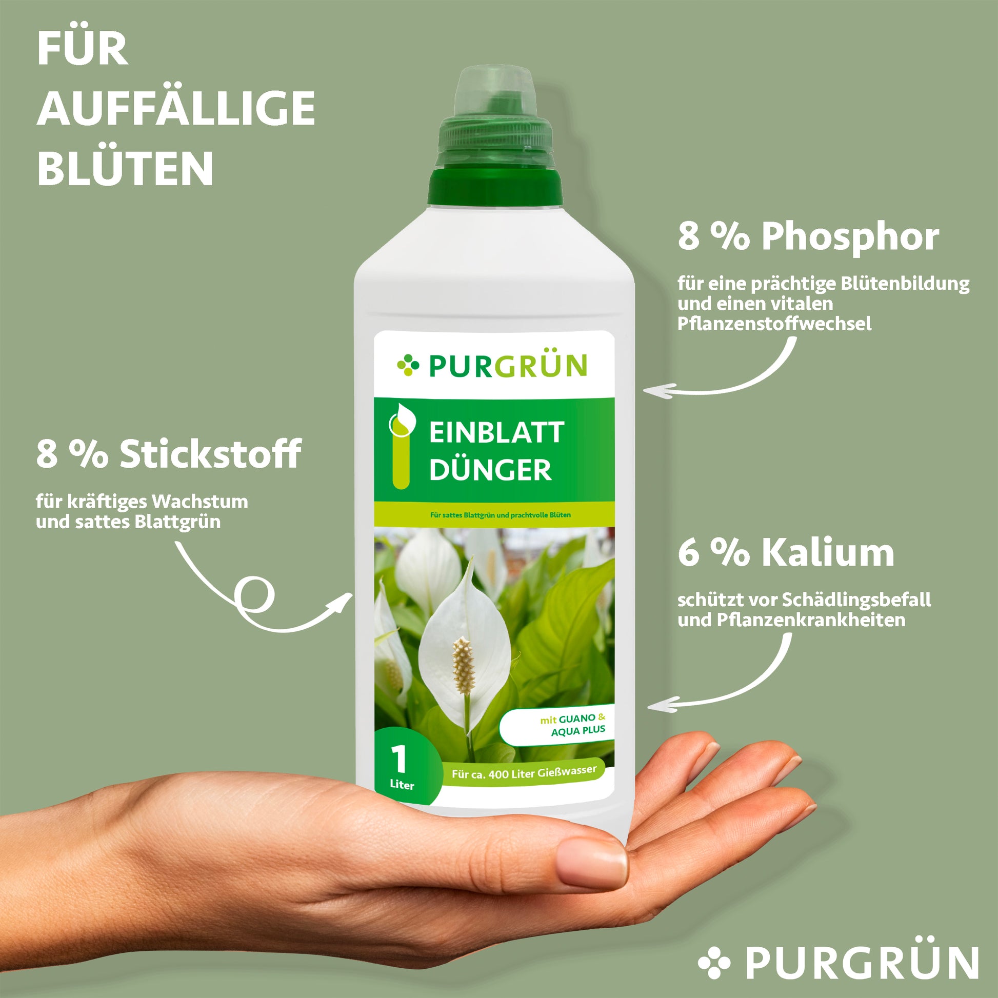 Eine Hand hält eine 1-Liter-Flasche Purgrün Einblatt-Dünger für blühende Pflanzen mit den wichtigsten Nährstoffen - 8% Stickstoff, 8% Phosphor und 6% Kalium. Eine Friedenslilie ziert diese Premiumflasche von Zimmerpflanzen Dünger.