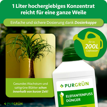Elefantenfuß-Dünger 1 Liter