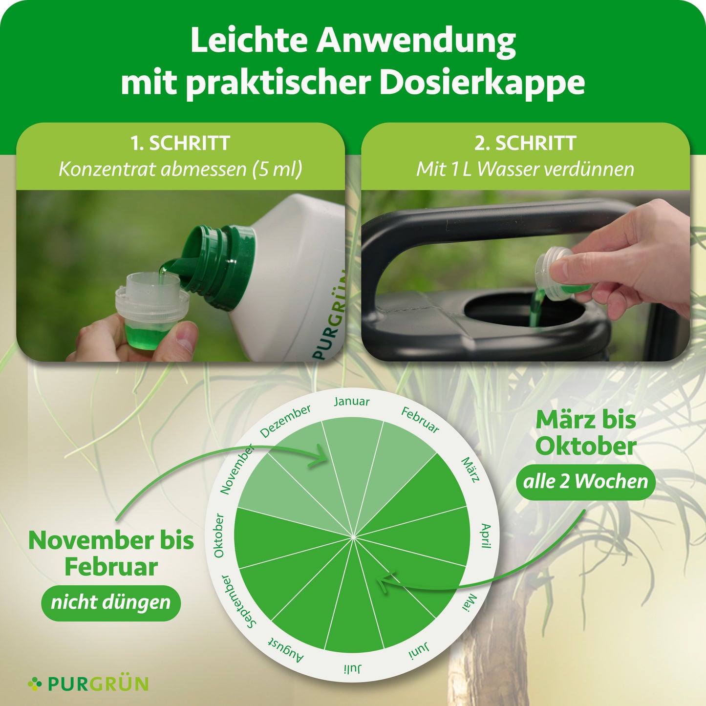 Elefantenfuß-Dünger 1 Liter