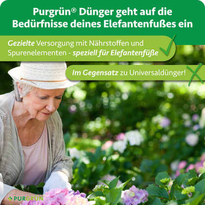 Elefantenfuß-Dünger 1 Liter