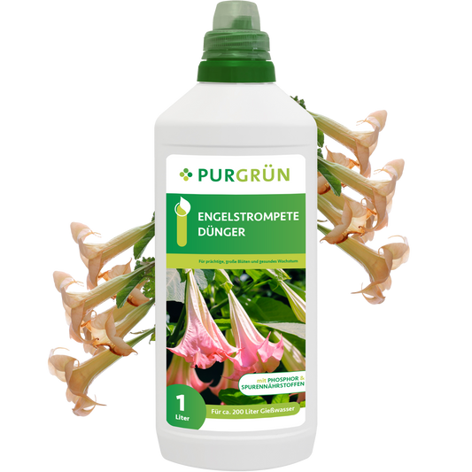 Der Purgrün Engelstrompete-Dünger 1 Liter, mit grüner Kappe und rosa Engelstrompetenblüten auf dem Etikett, fördert die gesunde Blüte von Engelstrompeten.