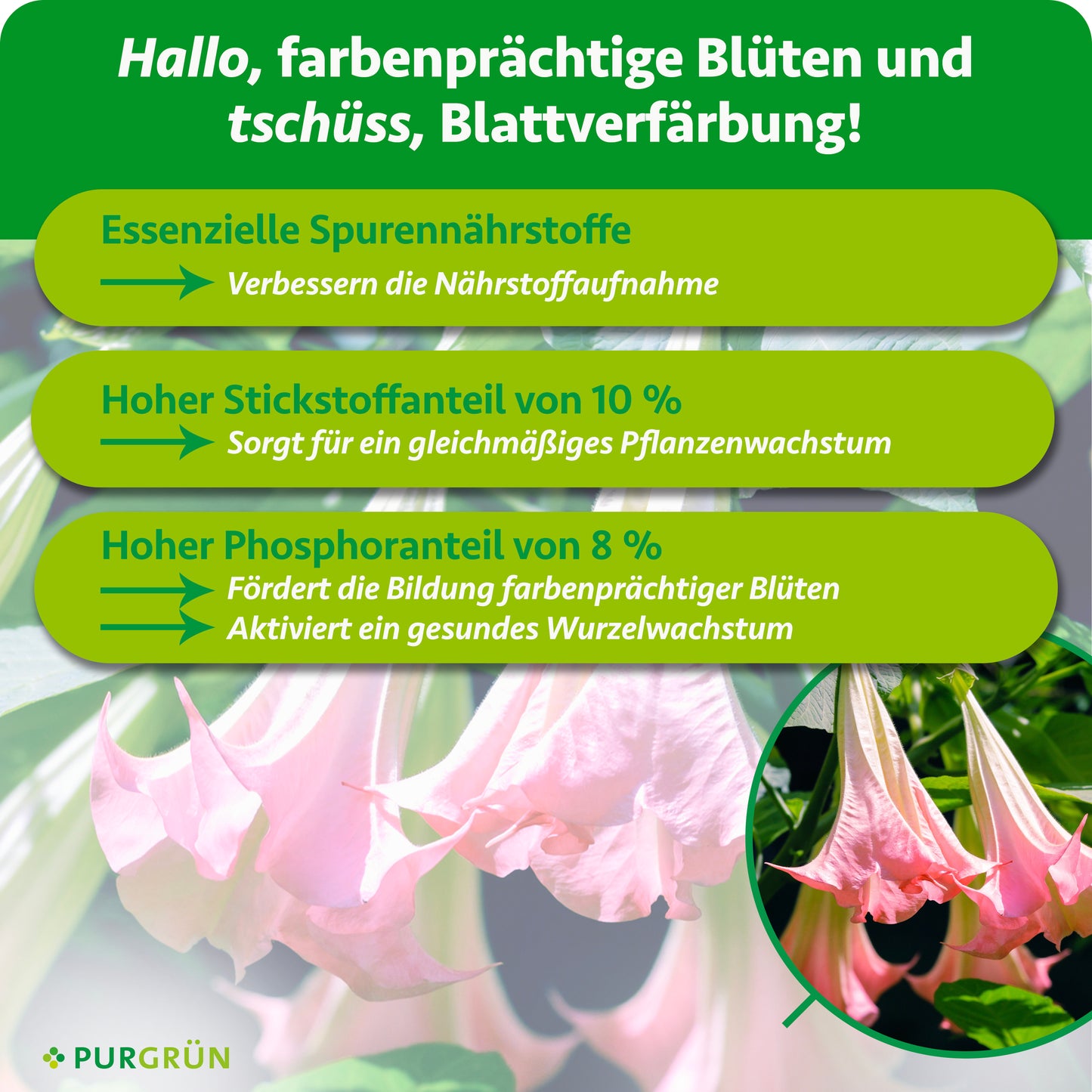 Engelstrompete-Dünger 1 Liter