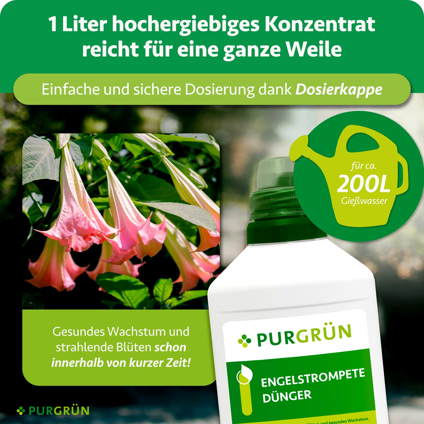 Engelstrompete-Dünger 1 Liter