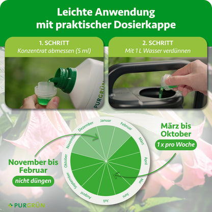 Engelstrompete-Dünger 1 Liter