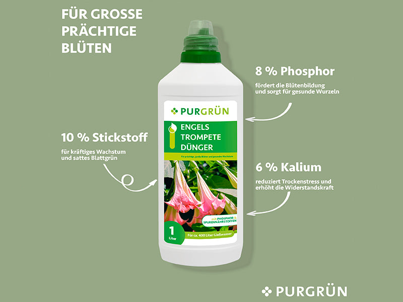 Engelstrompete-Dünger 1 Liter