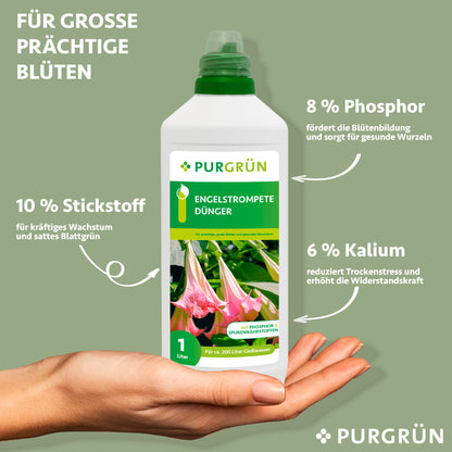 Eine Hand hält eine Flasche Purgrün Engelstrompete-Dünger 1 Liter mit 10 % Stickstoff für üppiges Laub, 8 % Phosphor zur Förderung der Engelstrompetenblüte und 6 % Kalium für die Widerstandsfähigkeit und Trockenheitstoleranz der Pflanze.