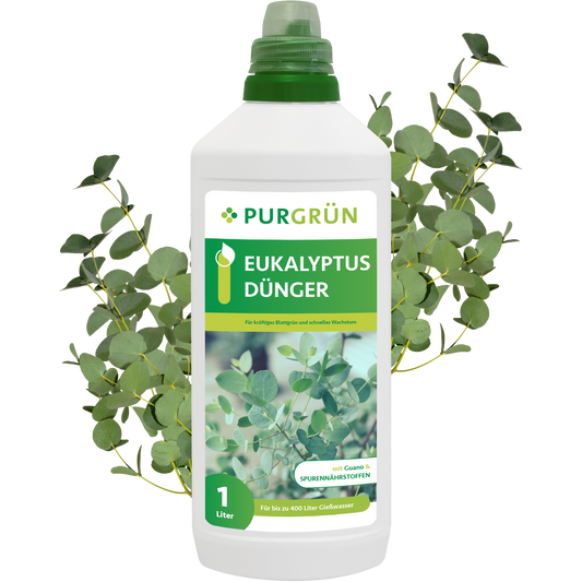 Eukalyptus-Dünger 1 Liter