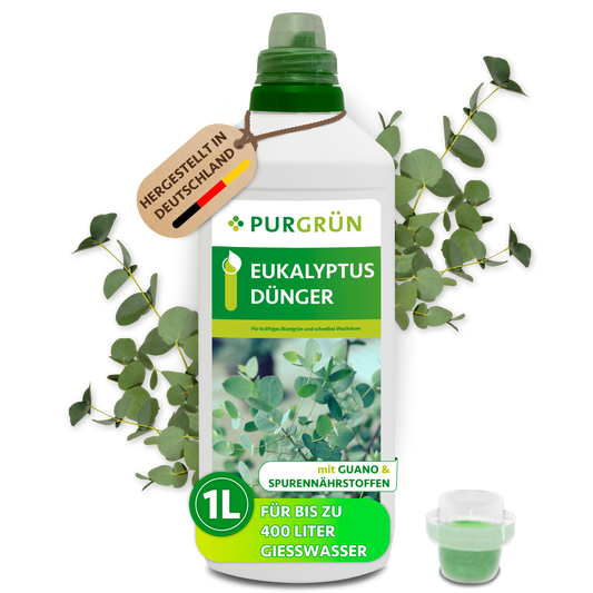 Eukalyptus-Dünger 1 Liter
