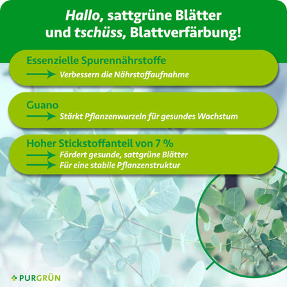 Eukalyptus-Dünger 1 Liter