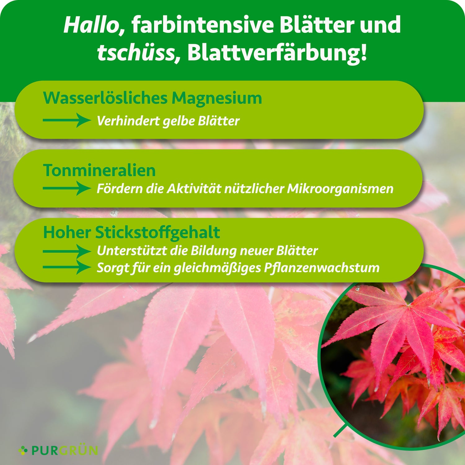 bio dünger für rasen Mein schöner Garten Bio Rasendünger kaufen – Mein schöner Garten Shop