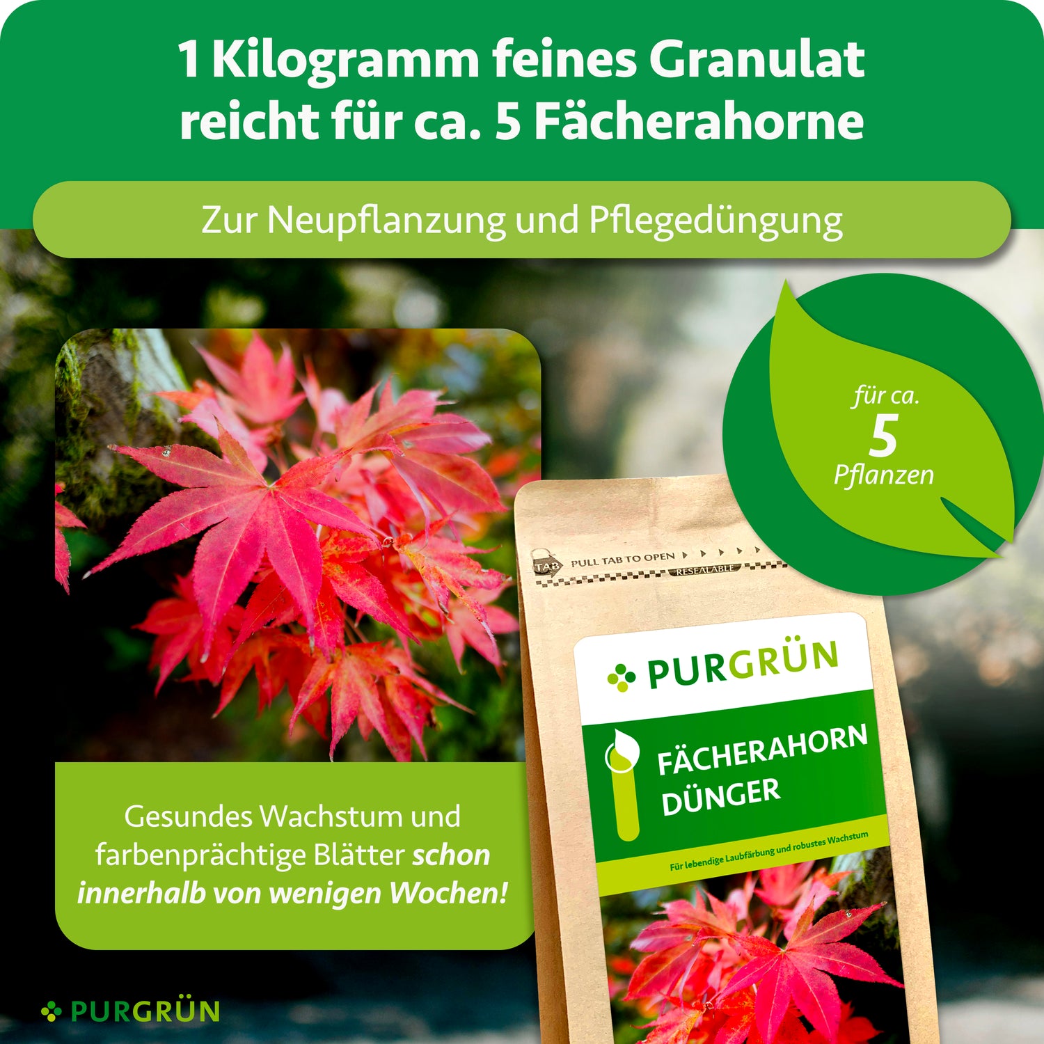 Purgrün Fächerahorn-Dünger 1 kg