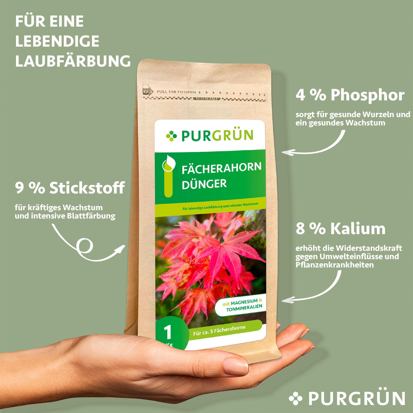 Fächerahorn-Dünger 1 kg
