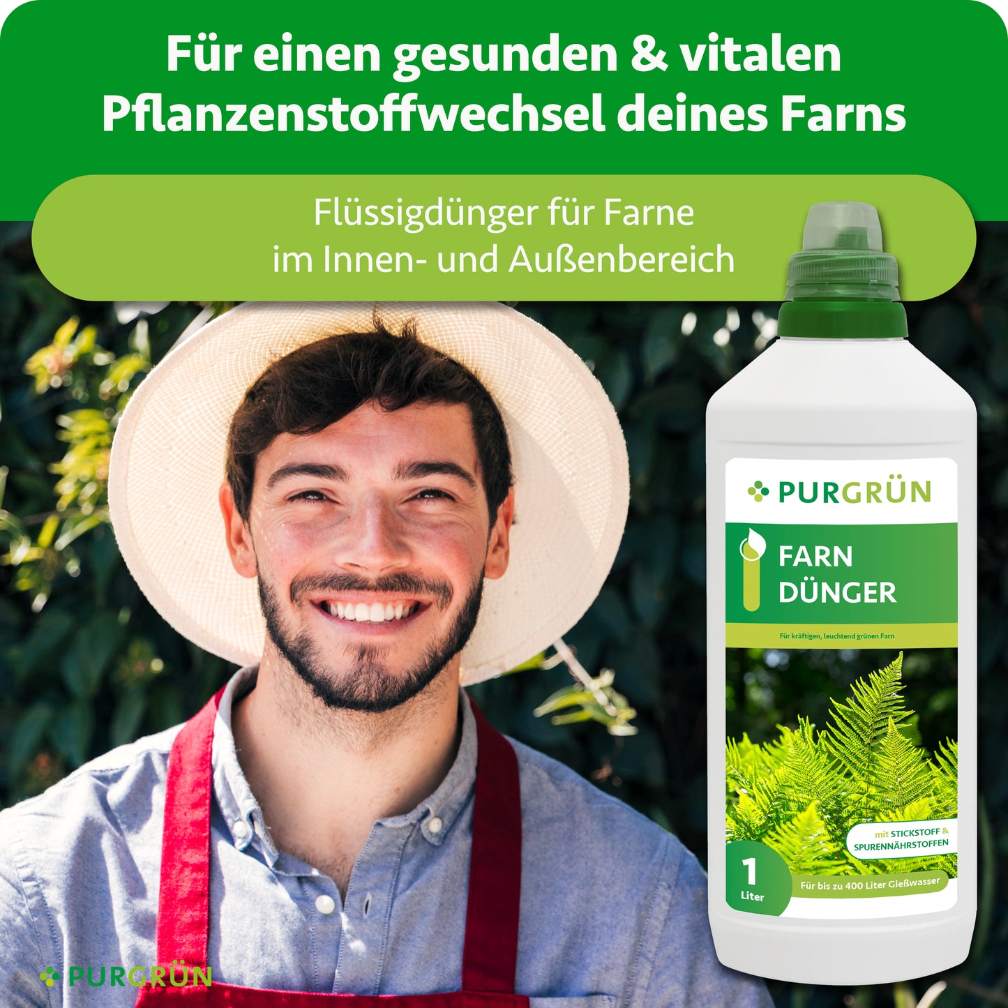 Farn-Dünger 1 Liter