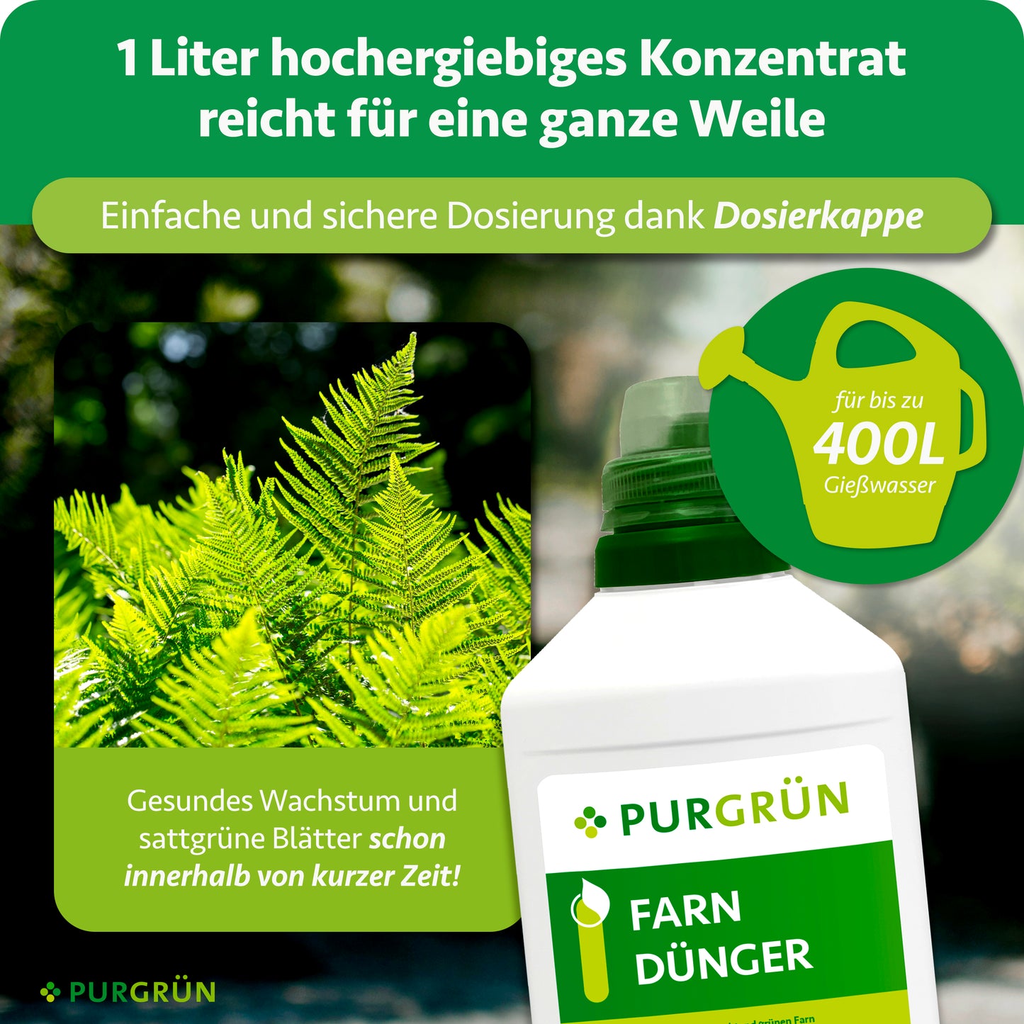 Farn-Dünger 1 Liter